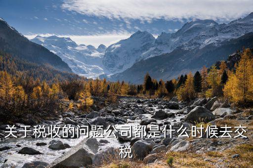 每個什么時候交稅，關(guān)于稅收的問題公司都是什么時候去交稅