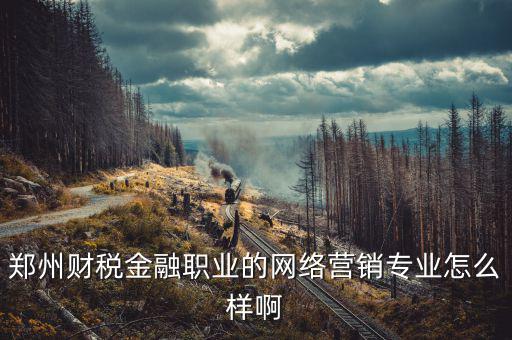 互聯(lián)網財稅銷售是什么，鄭州財稅金融職業(yè)的網絡營銷專業(yè)怎么樣啊