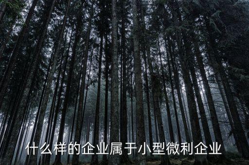 什么屬于小微企業(yè)，小微企業(yè)是什么