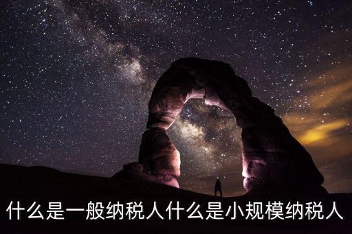 什么企業(yè)是一般納稅人，什么叫一般納稅人我如何辨別自己公司是否是一般納稅人