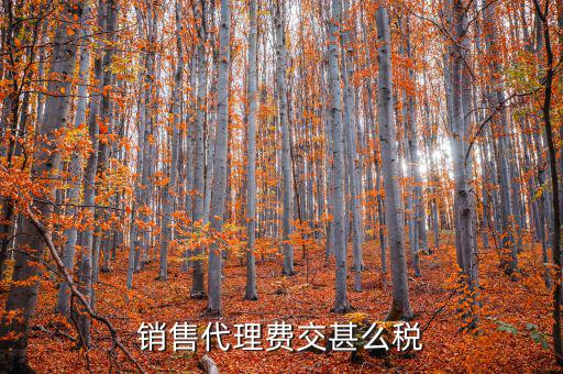 代理費繳納什么稅，銷售代理費交甚么稅