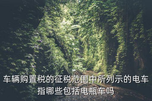 有軌電車征收什么稅，車輛購(gòu)置稅的征稅范圍中所列示的電車指哪些包括電瓶車嗎