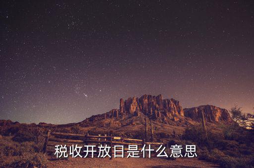 國(guó)稅開(kāi)放日是什么意思，稅收開(kāi)放日是什么意思