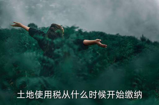 城鎮(zhèn)土地使用稅什么時(shí)候交，房地產(chǎn)開發(fā)企業(yè)繳納城鎮(zhèn)土地使用稅的時(shí)間是多久