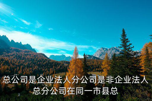 非總分機(jī)構(gòu)是什么，納稅人基本情況表沒有總分機(jī)構(gòu)總機(jī)構(gòu)名稱等還要不要填
