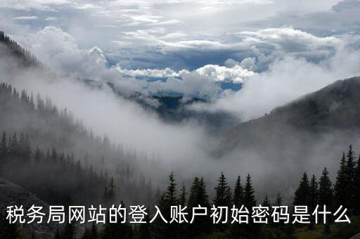廣東國稅網(wǎng)登錄密碼是什么意思，稅務(wù)局網(wǎng)站的登入賬戶初始密碼是什么
