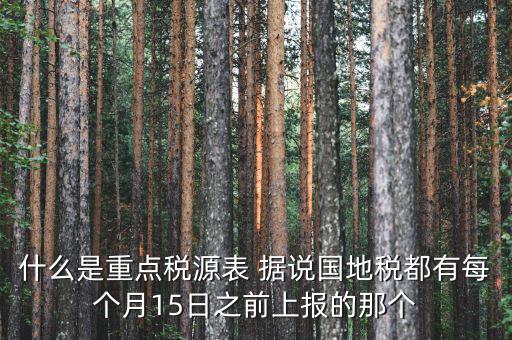 稅源監(jiān)控表是什么，股東股權(quán)變更稅源監(jiān)控登記表怎么填寫