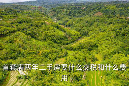 賣滿2年的房子交什么稅，商品房滿2年了出售的話需要交哪些稅詳細(xì)點(diǎn)