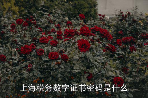 稅務(wù)數(shù)字證書密碼是什么，稅務(wù)密鑰是什么東西是數(shù)字證書嗎