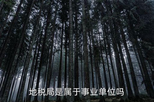 地稅屬于什么單位，地稅局是屬于事業(yè)單位嗎