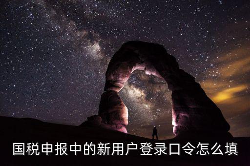 國稅用戶口令是什么，我想問下國家稅務(wù)網(wǎng)上申報點(diǎn)擊安全登錄時出現(xiàn)的用戶口令是什么