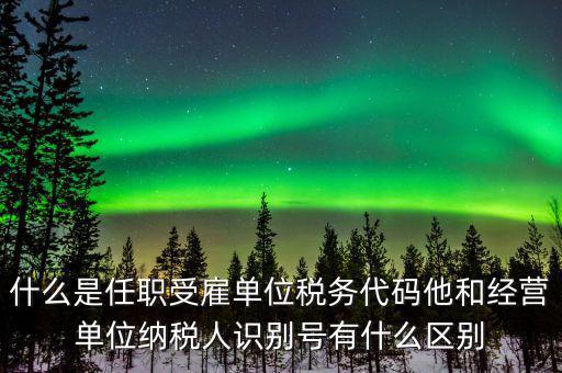 報稅自然人識別號是什么，個稅申報顯示存在相同唯一識別號是什么意思