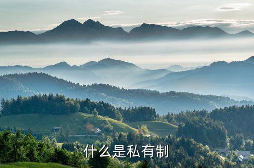 什么是特許權，什么是私有制