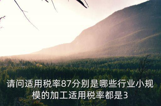 什么叫適用稅率，稅率是什么