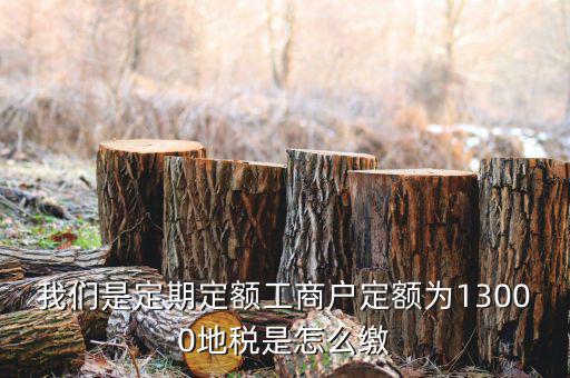 地稅定期定額戶是什么意思，我們是定期定額工商戶定額為13000地稅是怎么繳