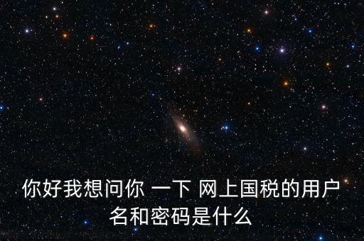 什么是電子稅務(wù)局密碼，你好我想問你 一下 網(wǎng)上國稅的用戶名和密碼是什么