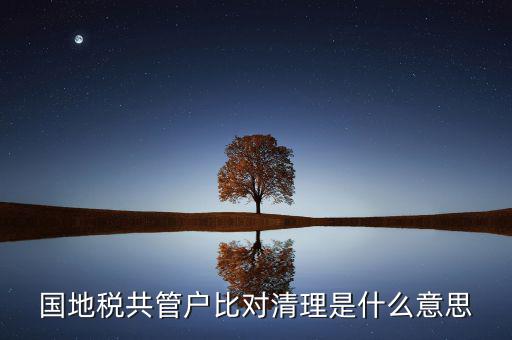 什么是國(guó)地稅共管，國(guó)稅地稅共管公司都需要每個(gè)月報(bào)稅嗎意思就是說(shuō)我每個(gè)月地稅