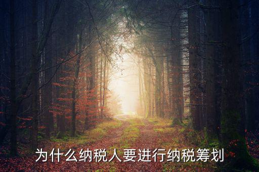 為什么要進(jìn)行稅收規(guī)劃，為什么納稅人要進(jìn)行納稅籌劃