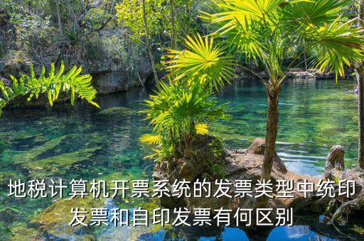 越國(guó)稅自印是什么意思， 是什么意思 發(fā)票嗎 一般印著這個(gè)的 就是發(fā)票 對(duì)嗎