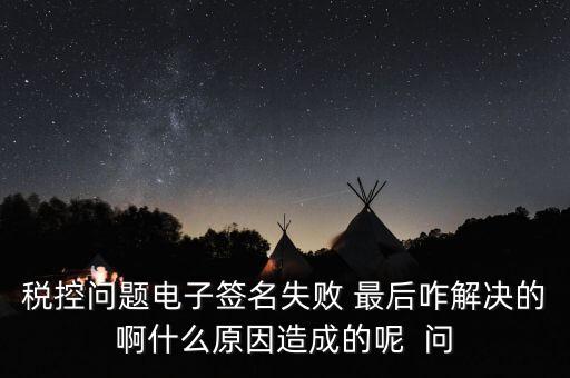什么是稅控簽名，報稅時數(shù)字簽名是甚么意思