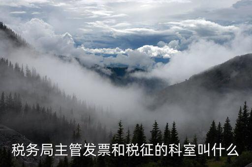 國稅稅務局都有什么科，稅務局主管發(fā)票和稅征的科室叫什么