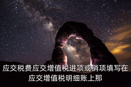 扣繳稅款登記填什么稅，在個(gè)人所得稅代扣代繳軟件中所要填寫的稅務(wù)登記號是填國稅的還是地