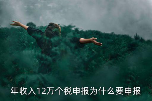 為什么12萬個稅申報表，12萬以上個人所得稅申報是什么意思