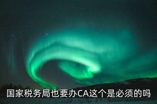 國稅ca是什么意思，短信提示我使用的國稅ca過期了什么個意思