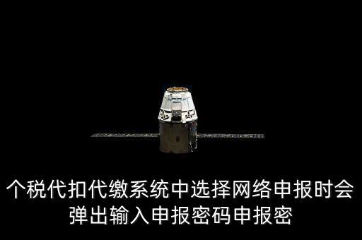 個稅申報密碼是什么意思，網(wǎng)上報稅 報稅密碼是什么
