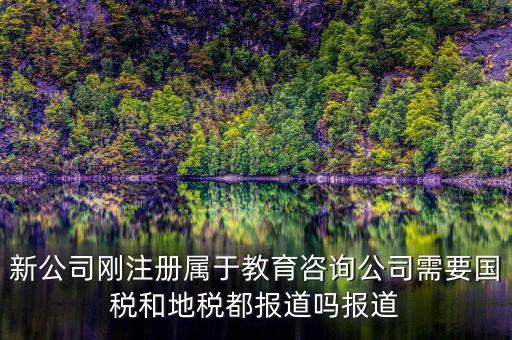 教育咨詢納什么稅，請問從教育事業(yè)的公司要納稅嗎