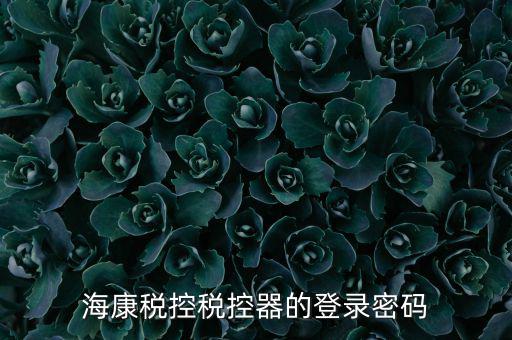 稅控盤 密碼是什么，?？刀惪囟惪仄鞯牡卿浢艽a