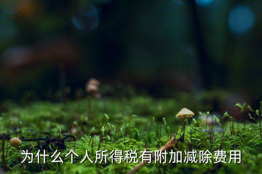 個(gè)稅減除費(fèi)用是什么，個(gè)人所得稅費(fèi)用扣除什么意思