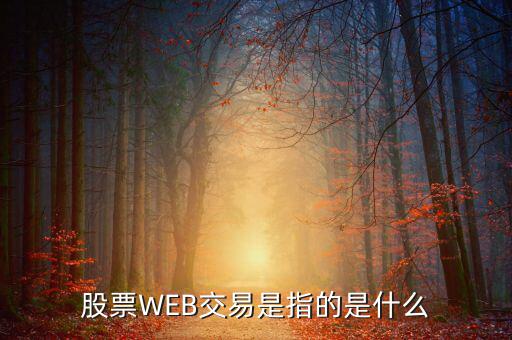 e稅通是什么，微軟認證是什么意思