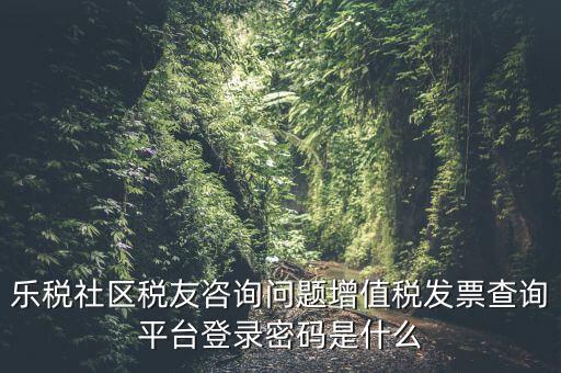 發(fā)票認(rèn)證平臺(tái)登陸密碼是什么，國(guó)稅局發(fā)票軟件里用戶代碼和密碼是什么