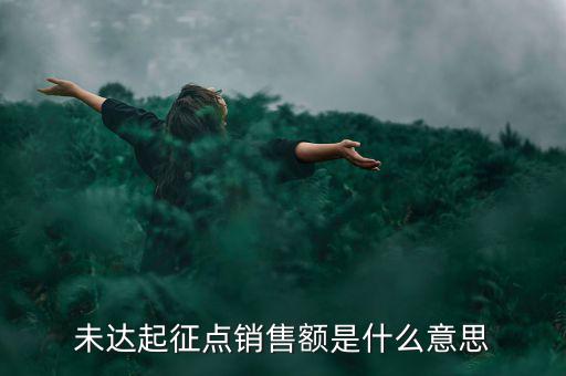 未達起征點通知書什么意思，打印稅務事項通知書未達起征點通知需要什么材料