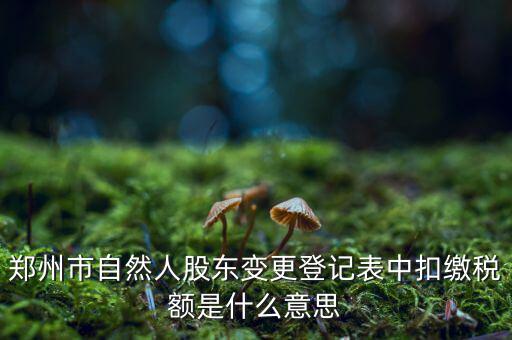 扣繳稅款登記是什么意思，應當按照稅收征管法等有關(guān)規(guī)定辦理扣繳稅款登記領(lǐng)取扣繳憑