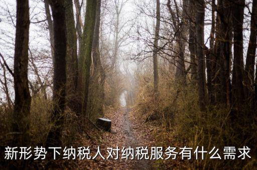 納稅服務(wù)的要求是什么，新形勢下納稅人對納稅服務(wù)有什么需求
