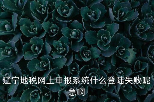 遼寧網(wǎng)上報(bào)稅為什么進(jìn)不去，遼寧地稅網(wǎng)上申報(bào)系統(tǒng)什么登陸失敗呢急啊