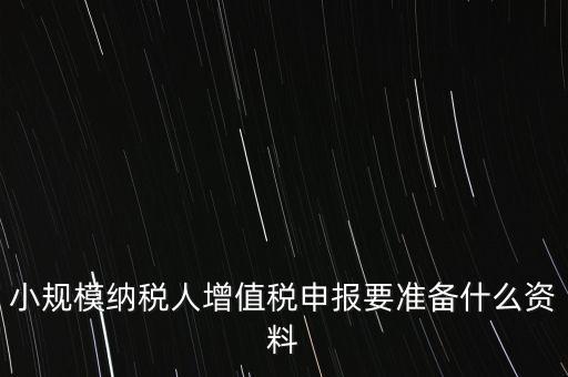 小規(guī)模報(bào)稅需要帶什么，小規(guī)模納稅人增值稅申報(bào)要準(zhǔn)備什么資料