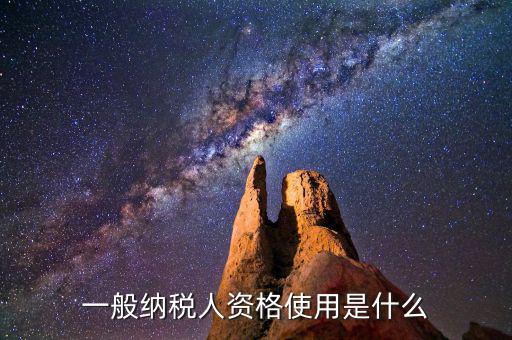 納稅資格包括什么，一般納稅人的認(rèn)定資格是什么