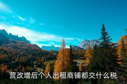 個(gè)人出租商鋪交什么稅，個(gè)人出租商鋪需要繳納什么稅