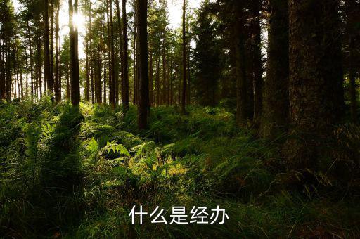 稅務(wù)文書經(jīng)辦是什么意思，什么是經(jīng)辦
