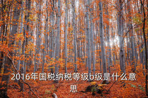 納稅信用等級評 什么用，企業(yè)納稅信用等級有何用處