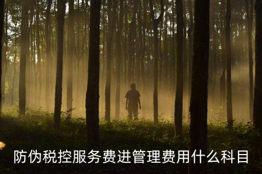防偽稅控服務(wù)費(fèi)是什么意思，繳納電子鑰匙的年費(fèi)是防偽稅控服務(wù)費(fèi)嗎