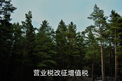 什么是營業(yè)稅改征增值稅試點(diǎn)期間，我國全面推開營業(yè)稅改征改征增值稅是哪一年