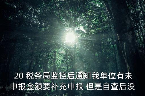 稅務(wù)局為什么風(fēng)險(xiǎn)報(bào)告，稅務(wù)局發(fā)來稅遵從風(fēng)險(xiǎn)分析報(bào)告什么意思