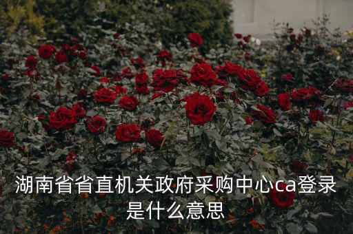 湖南省省直機關(guān)政府采購中心ca登錄是什么意思