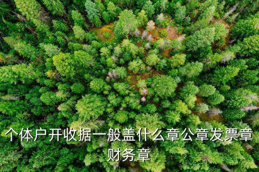 個(gè)體戶的定額發(fā)票蓋什么章，個(gè)體戶的定額發(fā)票上蓋的個(gè)體戶章能用嗎