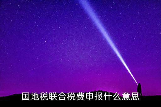 國稅地稅聯(lián)合有什么用，國地稅聯(lián)合稅費(fèi)申報什么意思