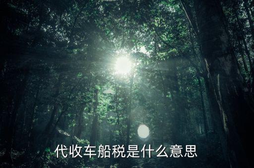 什么是代收車船稅，買保險的時候代收車船稅是個什么標準